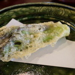 わらび野 - タラの芽（2015/5）