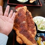 こだま食堂 - 手のひらと比較してこの大きさ！