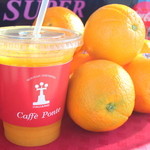 Caff’e Ponte ITALIANO - 