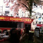 W+S CAFE by NAPOLEON - 