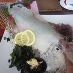 魚処　わき - やりイカの活き造り。イカの活き造りは博多の魚料理には必ず必要ですよね。 