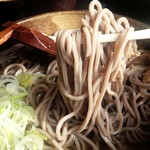 そば処 ひろ - 肉そば冷680大盛100円増／28年1月