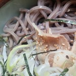 そば処 ひろ - 東京つけそば780円／28年1月