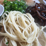 長崎楼 - 2016年1月初旬 麺のアップ。いつもより硬めに茹でられた中細麺。ツヤツヤしてました。