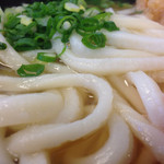 Tsuruya - しっかり練られている硬いうどんです(*´д`*)