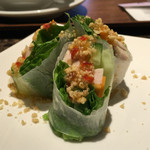 タイレストラン タニサラ - グリーンカレーセットの生春巻