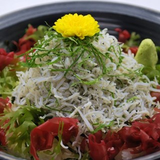 レストラン パステル_0