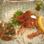 郷土料理 おが - 活きボタン海老 動いていました‼︎