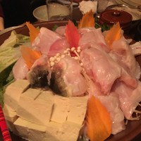 大阪とらふぐの会 PREMIUM - 