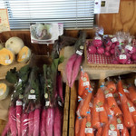 鯉渕学園農産物直売所 農の詩 - 料理写真:鯉淵学園で作られた無農薬の野菜
