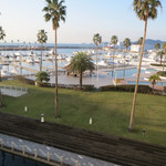 カーロ・エ・カーラ - 