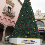 カーロ・エ・カーラ - プロ野球の勝利などは是非コチラに