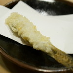 うを徳 - 2016.1 宍道湖ハゼ 天ぷら