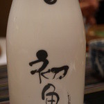 さ行 - 2016年1月初亀