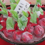 新松月 - (2016,01/09)