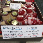 新松月 - (2016,01/09)