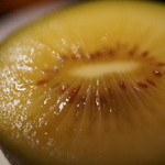 さ行 - 2016年1月ゴールデン・キウィ