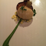 レフェルヴェソンス - 