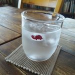 絵本カフェ holo holo - お水の入ったコップに亀〜