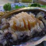 真魚 - アワビ刺身