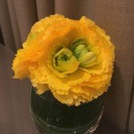 ブルガリ イル・カフェ - 2016年1月綺麗な、黄色い花☆☆