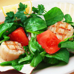Grilled scallops with raw tomatoes and arugula