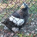 多摩動物公園アフリカ園休憩所 - 