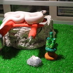 東京スネークセンター - 2016.1 キョロちゃん、鳥居の上が落ち着くみたい