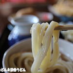 田舎うどん てつ - 2016年1月　うどん　アップ