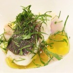 SALONE 2007 - 2016.1.  filosofia/ 哲学 鮮魚・タコ・ハマグリ