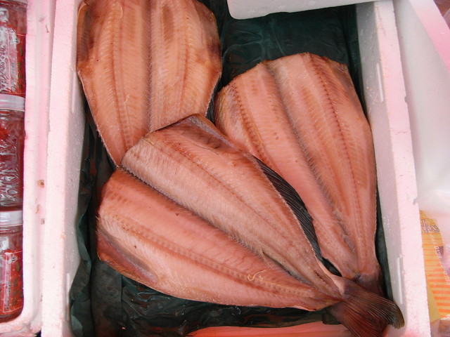 閉店 魚道場 だるま さかなどうじょう だるま 五稜郭 魚介料理 海鮮料理 食べログ