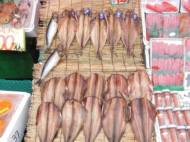 閉店 魚道場 だるま さかなどうじょう だるま 五稜郭 魚介料理 海鮮料理 食べログ