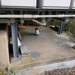 ハウス オブ フレーバーズ - ネコちゃん♪