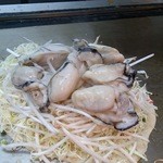 源亀 - 大量のカキが乗ってワクワク