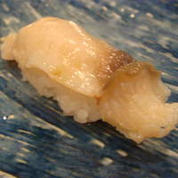 おたる政寿司 本店 - で、ミル貝、こりこりっで跳ねちゃいますよぉ