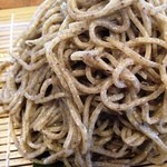 極粗挽き寒さらし熟成のもり蕎麦