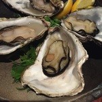 我美 - 殻付き牡蠣