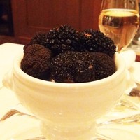 Terres de Truffes, Tokyo - 2