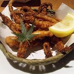 魚民 - イカゲソの唐揚げ