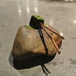 フロリレージュ - 投影　蕗の薹