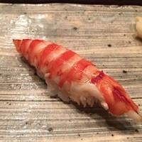 銀座 鮨 かねさか 本店 - 車海老