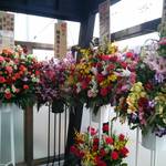 寿製麺 よしかわ - 開店祝いのお花がいっぱい。