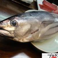 瓢嘻 京橋店 - 