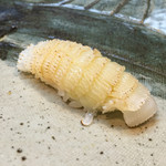 きく家 - 201601再訪 槍烏賊