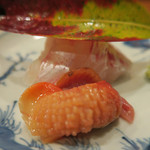 旬席 鈴江 - お造り　ズームアップ