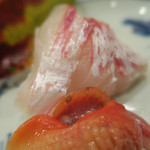 旬席 鈴江 - お造り　ズームアップ