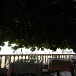 Hau Tree Lanai Restaurant - Hau Tree Lanai