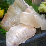 割烹くずし 徳多和良 - ひらめ