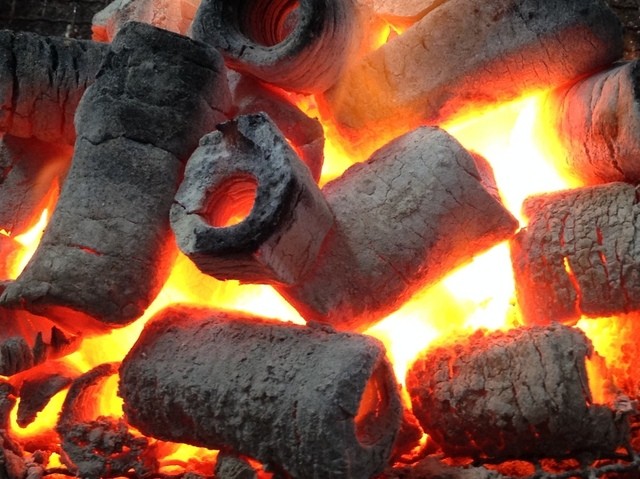 かき小屋　渡波（わたのは） - 渡波（かき）の写真