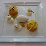 ラ・フェット ひらまつ - パッションフルーツとマンゴーのムーステリーヌ 、ココナッツミルクアイス(2015.10)